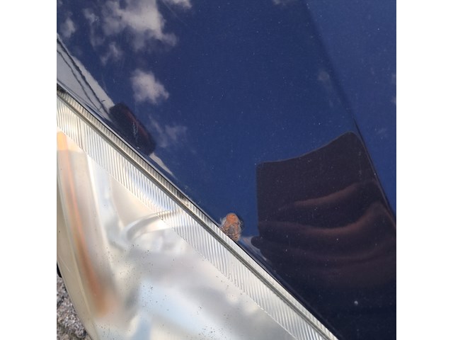 Personenauto, ford, focus c-max, 1.6-16v trend, blauw, 2004 - afbeelding 4 van  13