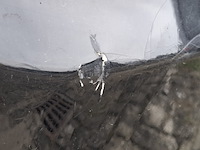 Personenauto, ford, focus coupé-cabriolet, 1.6-16v trend, 2007 - afbeelding 6 van  18