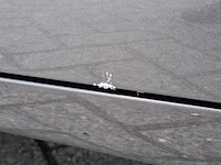 Personenauto, ford, s-max, 2.0 titanium - afbeelding 82 van  89