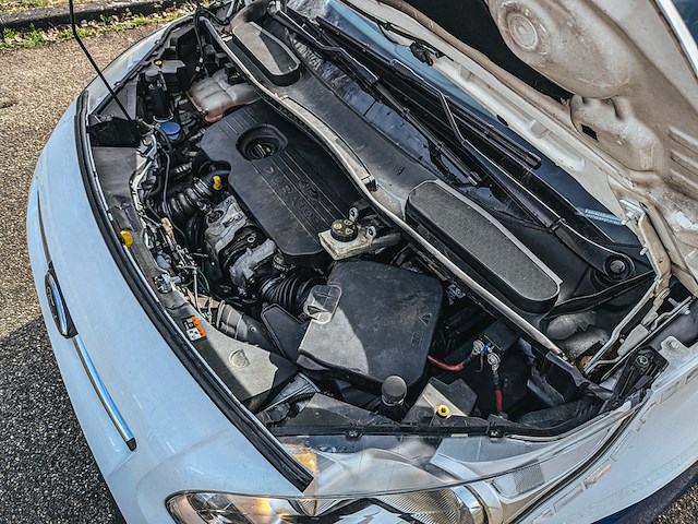 Personenauto, ford, tourneo connect compact, 1.5 tdci titanium, 2018 - afbeelding 29 van  37