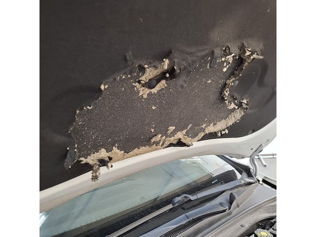 Personenauto, kia, ceed, 2019 - afbeelding 60 van  69