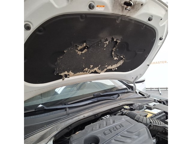 Personenauto, kia, ceed, 2019 - afbeelding 61 van  69