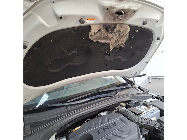 Personenauto, kia, ceed, 2019 - afbeelding 69 van  73