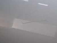 Personenauto, kia, ceed, 2019 - afbeelding 5 van  69