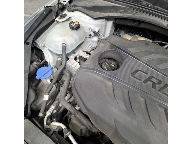 Personenauto, kia, ceed - afbeelding 50 van  60