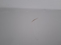 Personenauto, kia, rio, 1.2 cvvt super pack, 2012 - afbeelding 10 van  51