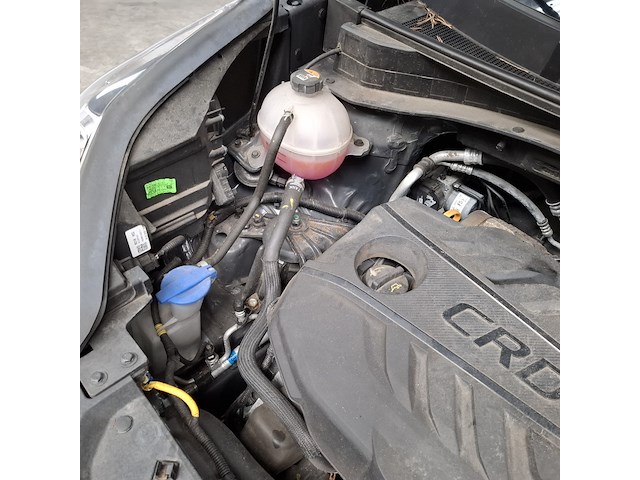 Personenauto, kia, sportage - afbeelding 38 van  49