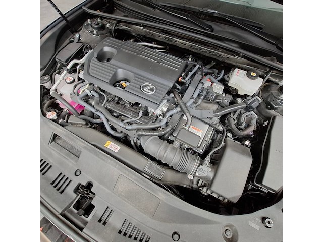 Personenauto, lexus, es, 300h president line, 2024 - afbeelding 47 van  64