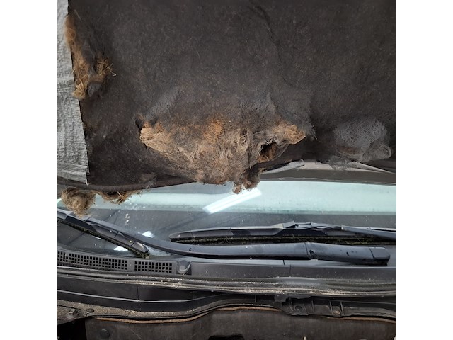 Personenauto, mazda, 6 - afbeelding 35 van  46