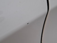 Personenauto, mercedes-benz, b-klasse 220d, 2019 - afbeelding 7 van  67