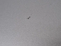 Personenauto, mercedes-benz, c-klasse, 180 k, 2008 - afbeelding 31 van  80