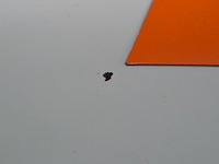 Personenauto, mini, 3-deurs, 1.4 one salt, 2010 - afbeelding 19 van  59