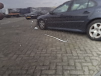 Personenauto, nissan, qashqai +2, 2.0 dci connect edition 4wd , 2011 - afbeelding 4 van  20