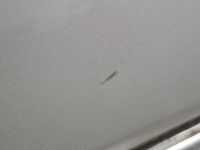 Personenauto, opel, astra 1.6 cdti 120 jahre, 2019 - afbeelding 16 van  77