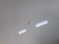 Personenauto, opel, astra 1.6 cdti, 2018 - afbeelding 29 van  76