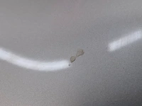 Personenauto, opel, astra 1.6 cdti, 2018 - afbeelding 31 van  76