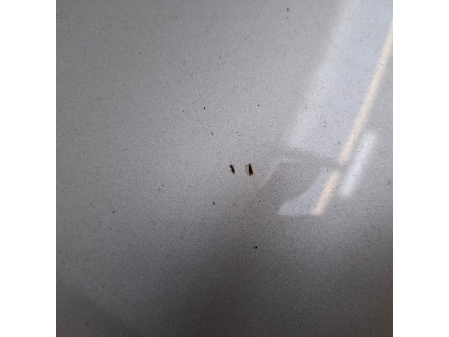 Personenauto, opel, astra 1.6 cdti, 2019 - afbeelding 65 van  71