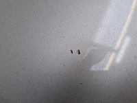 Personenauto, opel, astra 1.6 cdti, 2019 - afbeelding 65 van  71