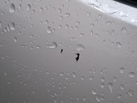 Personenauto, opel, astra 1.6 cdti, 2019 - afbeelding 11 van  67
