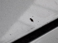 Personenauto, opel, astra, 2018 - afbeelding 15 van  76