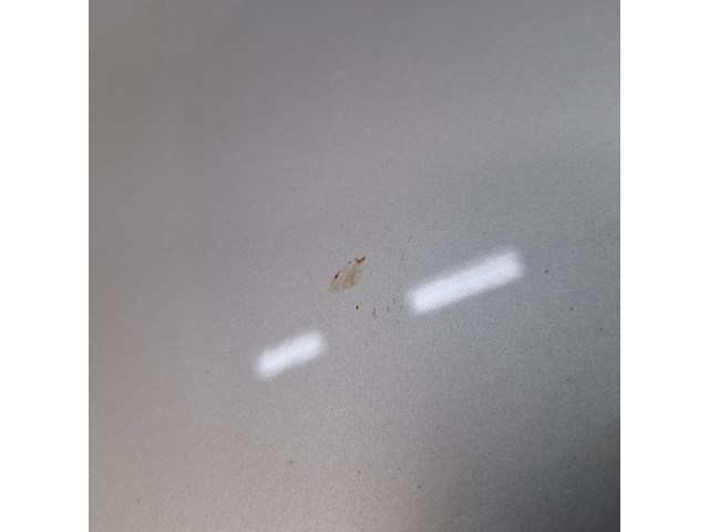 Personenauto, opel, astra, 2018 - afbeelding 29 van  76