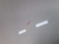 Personenauto, opel, astra, 2018 - afbeelding 29 van  76