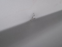 Personenauto, opel, astra, 2019 - afbeelding 9 van  55