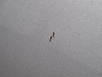 Personenauto, opel, astra, 2019 - afbeelding 57 van  62