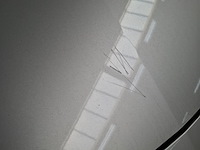 Personenauto, opel, astra, 2019 - afbeelding 35 van  42