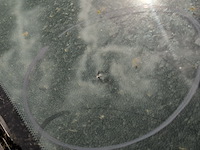 Personenauto, opel, astra - afbeelding 55 van  60