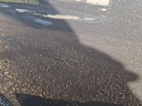 Personenauto, opel, insignia sports tourer 1.8 edition, grijs, 2010 - afbeelding 24 van  53