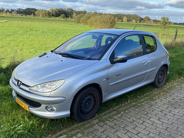 Personenauto peugeot, 206, grijs, bouwjaar 9-2004 - afbeelding 1 van  12