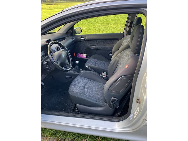 Personenauto peugeot, 206, grijs, bouwjaar 9-2004 - afbeelding 12 van  12