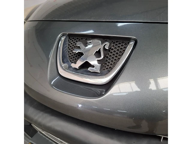 Personenauto, peugeot, 207 sw outdoor, 1.6 vti xs, 2008 - afbeelding 77 van  80