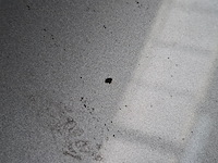 Personenauto, peugeot, 208, 2018 - afbeelding 11 van  75