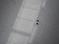 Personenauto, peugeot, 208, 2018 - afbeelding 13 van  75