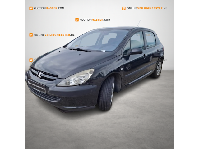 Personenauto, peugeot, 307, 1.6-16v xs, 2003 - afbeelding 1 van  18