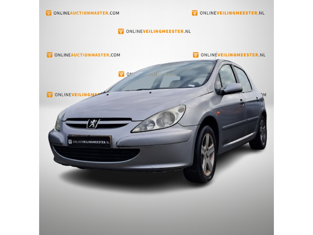 Personenauto, peugeot, 307, 1.6-16v xsi, grijs, 2003 - afbeelding 1 van  15