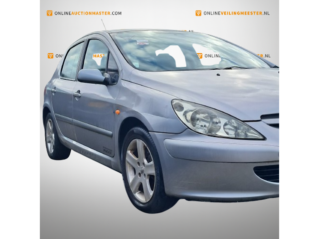 Personenauto, peugeot, 307, 1.6-16v xsi, grijs, 2003 - afbeelding 10 van  15