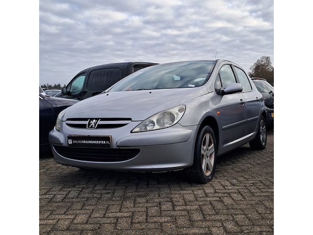 Personenauto, peugeot, 307, 1.6-16v xsi, grijs, 2003 - afbeelding 11 van  15