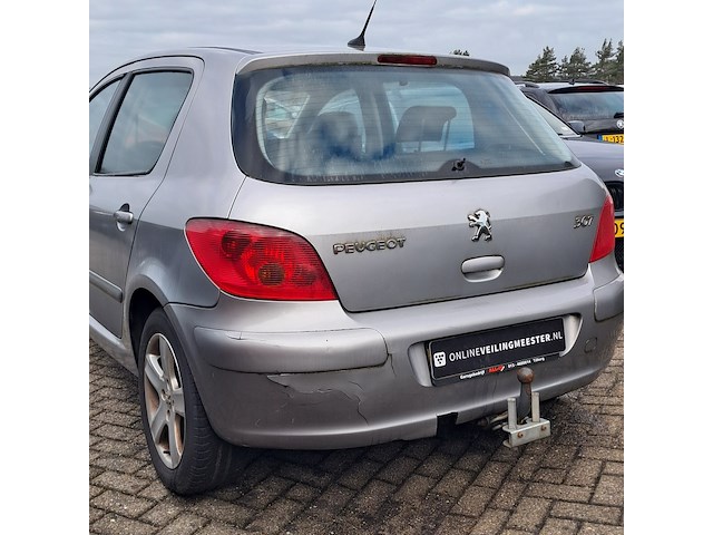 Personenauto, peugeot, 307, 1.6-16v xsi, grijs, 2003 - afbeelding 15 van  15