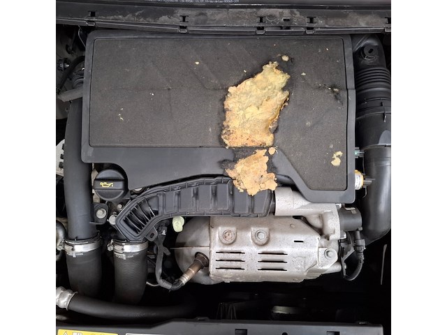 Personenauto, peugeot, 308 1.2 puretech, 2019 - afbeelding 59 van  67