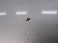 Personenauto, peugeot, partner 1.6 16v, 1.6-16v xt, 2004 - afbeelding 33 van  82