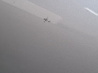 Personenauto, renault, mégane 1.5 blue dci, 2019 - afbeelding 6 van  74