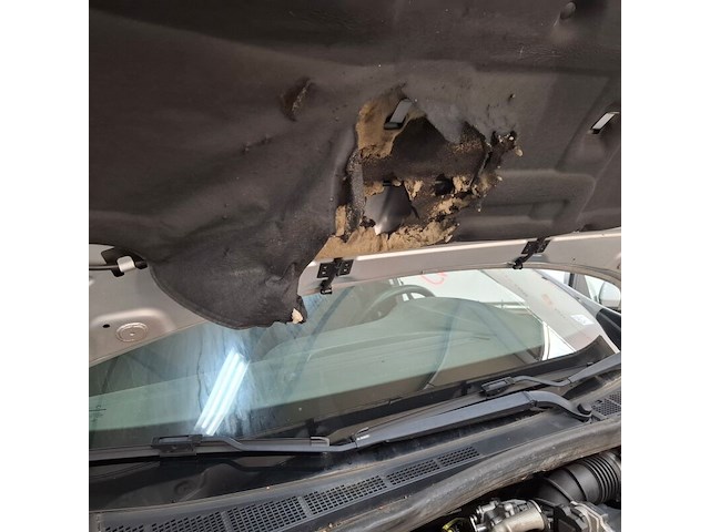 Personenauto, renault, mégane 1.5 blue dci, 2019 - afbeelding 68 van  77