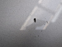 Personenauto, renault, megane, 2018 - afbeelding 25 van  70