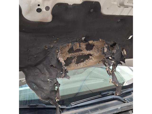 Personenauto, renault, megane, 2019 - afbeelding 20 van  32