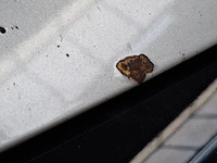 Personenauto, renault, megane, 2019 - afbeelding 9 van  66
