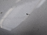 Personenauto, renault, megane, 2019 - afbeelding 10 van  67