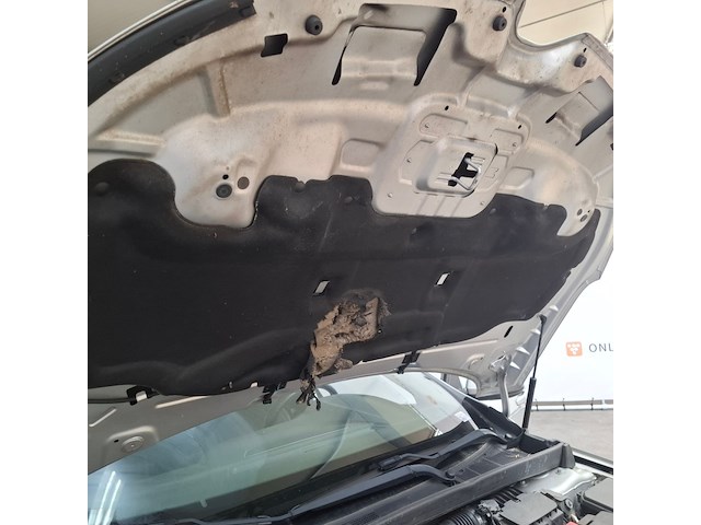 Personenauto, renault, megane, 2019 - afbeelding 57 van  66